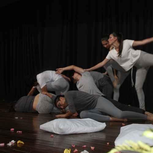 Muestra coreográfica; estudiantes participantes en el proyecto.